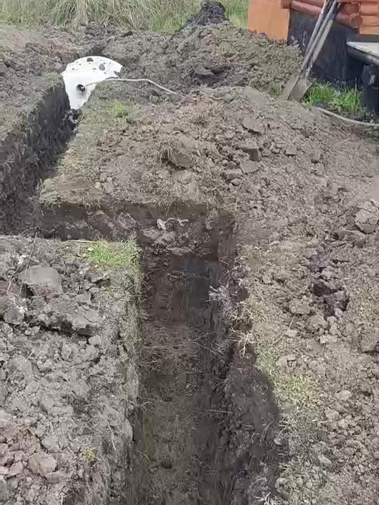 Planta Danpa instalada en Punta Indio